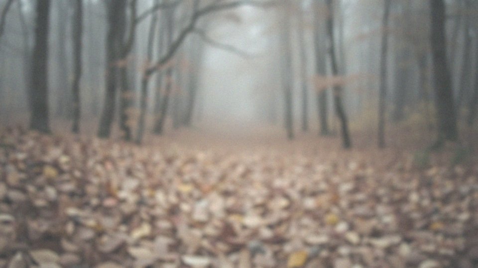 Jak stabilność emocjonalna wpływa na zaburzenia osobowości?