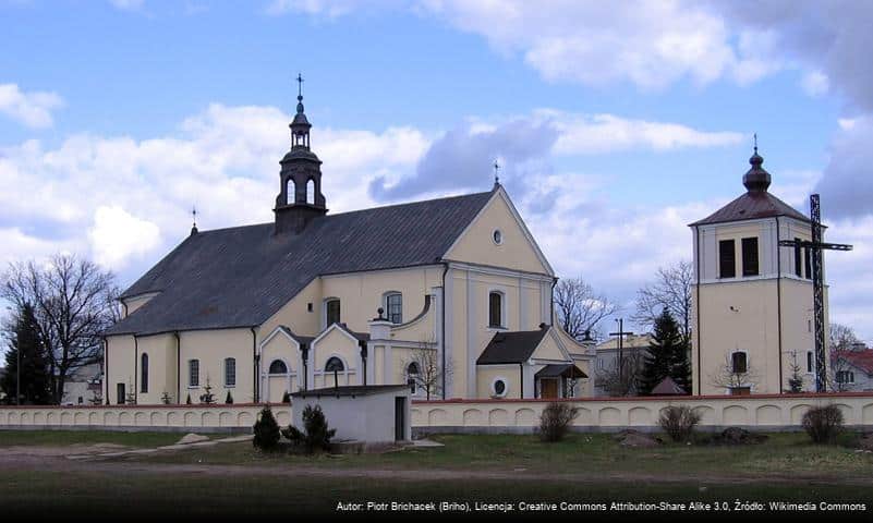 Kościół Nawiedzenia Najświętszej Maryi Panny w Ostrołęce