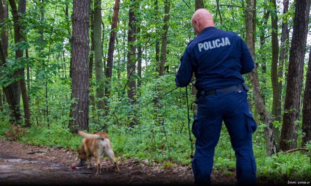 Ostrołęka: Kierująca straciła prawo jazdy za przekroczenie prędkości